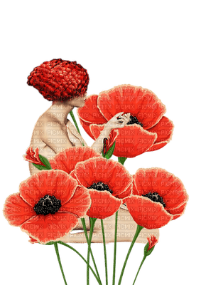 loly33 poppy coquelicot - kostenlos png