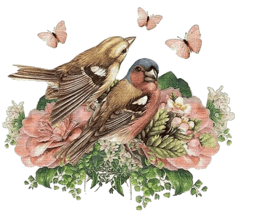 birds - 免费PNG