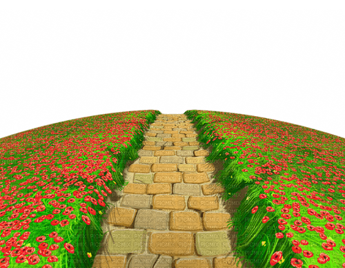 stone-path and flower-----sten gång-blommor - Free PNG