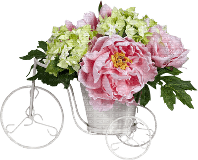 Kaz_Creations Deco Flowers Plant Colours - PNG gratuit