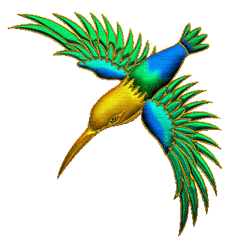 hummingbird - GIF เคลื่อนไหวฟรี