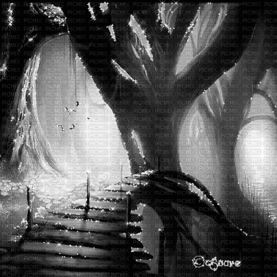 soave background animated forest black white - GIF animé gratuit