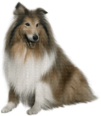 Kaz_Creations Animals Dogs Dog Pup - zdarma png