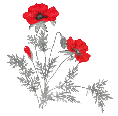 soave deco flowers spring branch animated - Бесплатный анимированный гифка