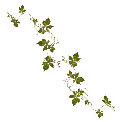 minou-leaves-löv-blad-kvist - δωρεάν png