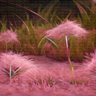 Pink Grass - ingyenes png