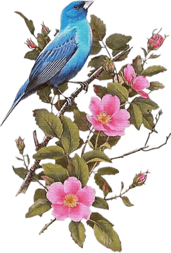 Птица на цветах - png gratuito