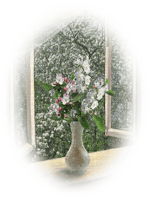 Kaz_Creations Paysage Scenery Window - png gratuito