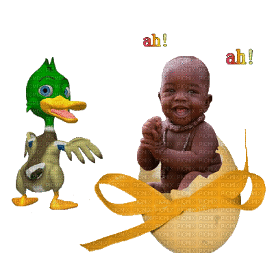 canard rire - 無料のアニメーション GIF