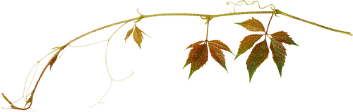 kikkapink deco branch autumn leaves - png gratis
