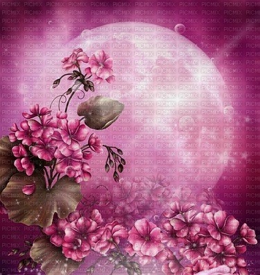 pink fantasy moon night background - zadarmo png