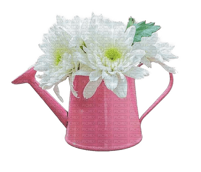 arrosoir.Sprinkler.Deco.Pot.Fleur.Flower.Victoriabea - Free PNG