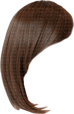 Kaz_Creations Wig - 免费PNG