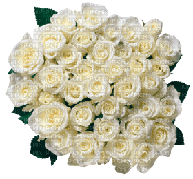 Kaz_Creations Deco Flowers Roses Flower - PNG gratuit