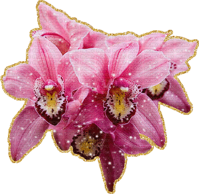patymirabelle fleurs - Nemokamas animacinis gif
