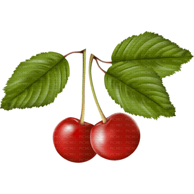 Kaz_Creations Cherries Cherry - nemokama png