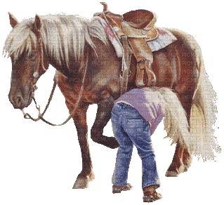 cowgirl bp - Бесплатный анимированный гифка