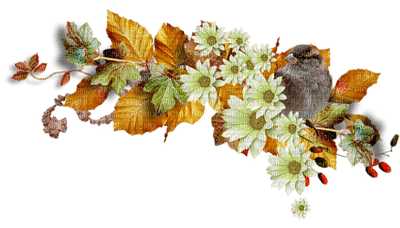 Kathleen Reynolds Flowers Deco Bird Autumn - besplatni png