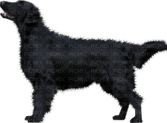 Kaz_Creations Dog Pup - ücretsiz png