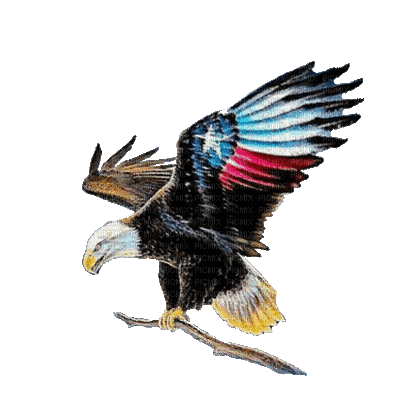 Eagle Flag - GIF animé gratuit