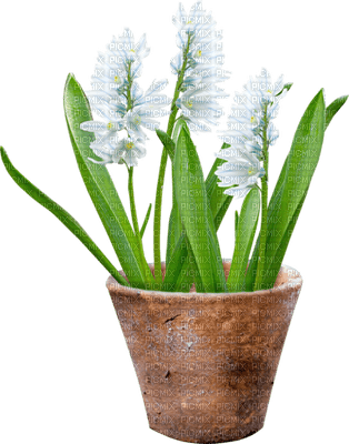 Kaz_Creations Flowers-Fleurs-Vase - Free PNG