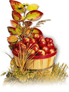 soave deco autumn apple scrap leaves grass - PNG gratuit