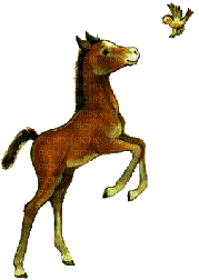 cheval et l'oiseau - Безплатен анимиран GIF