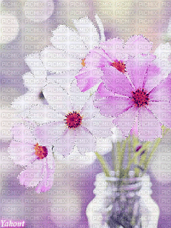 Background Flowers - Gratis animerad GIF