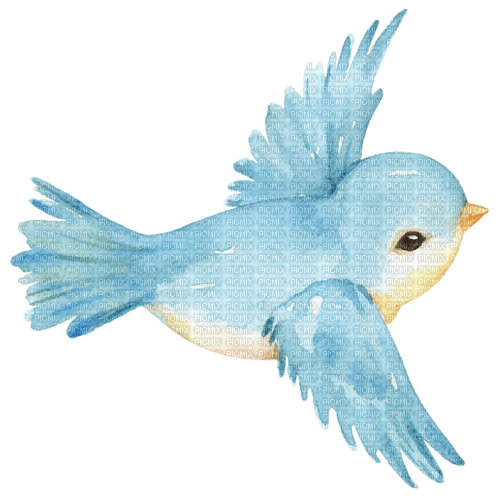 oiseaux - 免费PNG