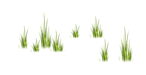 Herbe - δωρεάν png