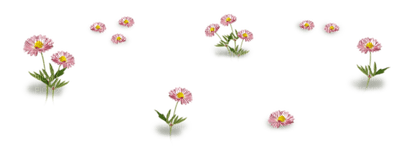 plants two katrin - 免费PNG