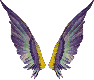 cecily-ailes ange tube - бесплатно png
