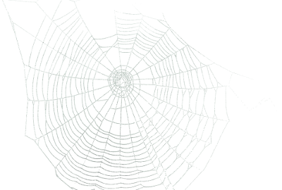 spiderweb - darmowe png