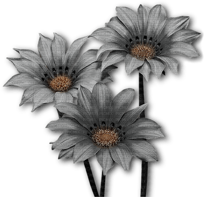 Fleur - darmowe png