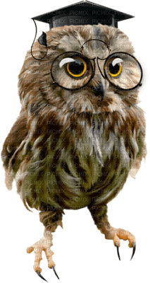 Kaz_Creations Owls Owl - ilmainen png