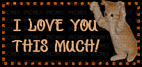 I LOVE YOU THIS MUCH - Kostenlose animierte GIFs