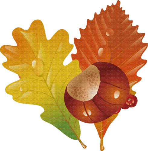 autumn Bb2 - png grátis