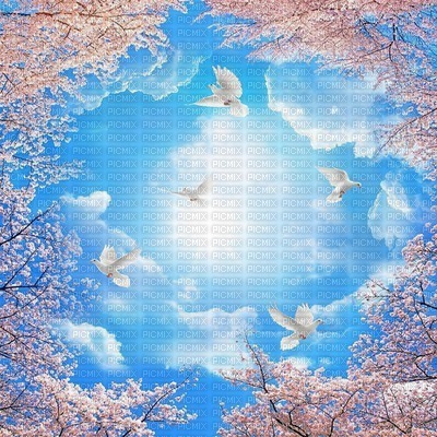 Fond debutante ciel oiseau arbre nuage bleu sky bg cloud bird - PNG gratuit