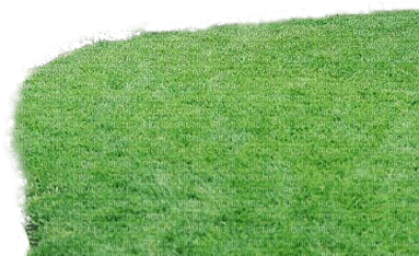 Gras - nemokama png