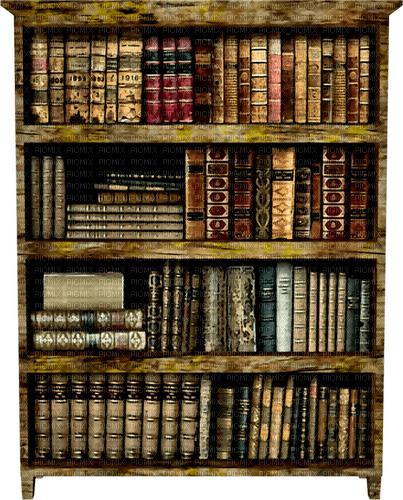 Books.Bookshelf.Brown.Red.Blue - nemokama png