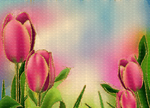 pink tulips animated background - Ingyenes animált GIF