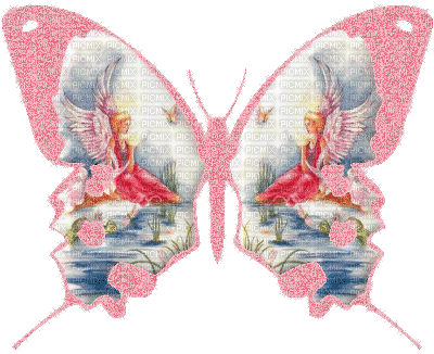Papillon.Cheyenne63 - GIF animate gratis