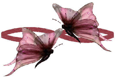 chantalmi papillon butterfly rose pink - Free animated GIF