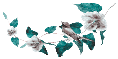 soave deco animated branch  bird teal - GIF animé gratuit