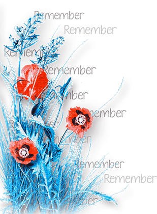 soave deco flowers poppy corner branch text - δωρεάν png