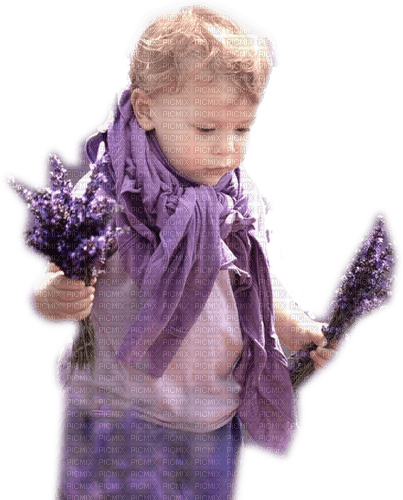 Baby boy with Lavender - безплатен png