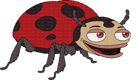 beetle - Animovaný GIF zadarmo