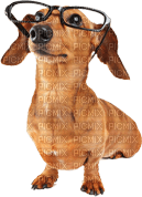 Kaz_Creations Dog Pup Dogs 🐶 - png gratuito