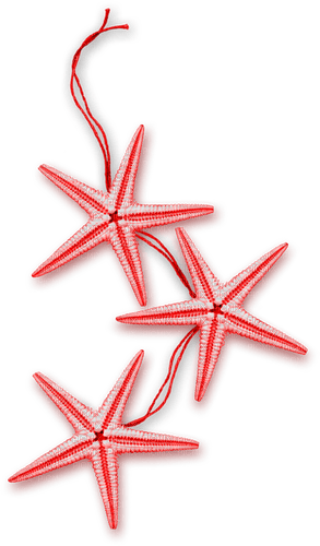 Starfish.Red - Free PNG