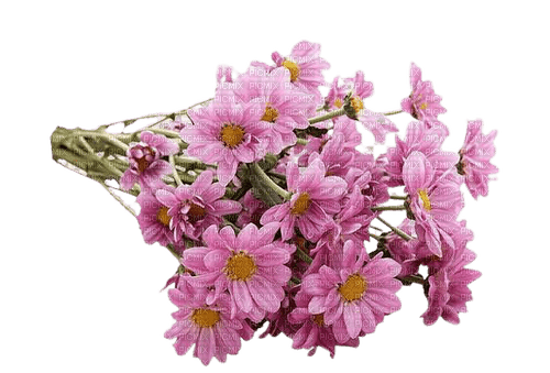 pink flowers bouquet - ücretsiz png